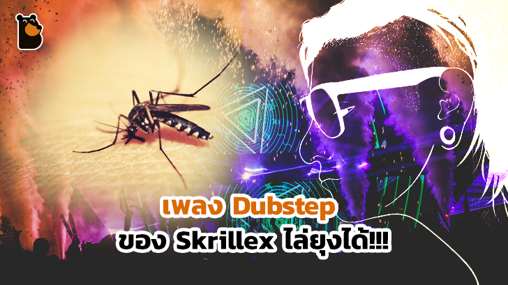 à¸ªà¸¸à¸à¸à¸¶à¹à¸à¹à¸¡à¸·à¹à¸­à¸à¸à¸à¸£à¸µ Dubstep à¸à¸­à¸ Skrillex à¹à¸à¹à¹à¸¥à¹à¸¢à¸¸à¸à¹à¸à¹... à¸§à¸±à¹à¸ à¸§à¸±à¹à¸ à¸§à¸±à¹à¸ à¸§à¸±à¹à¸ à¸§à¹à¸²à¸§à¸§à¸§à¸§à¸§à¸§ à¸à¸±à¸à¹à¸¥à¸¢à¹à¸«à¸¡à¸«à¸¥à¹à¸°